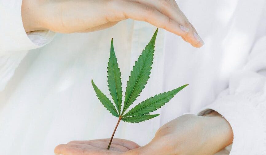 ¿Qué es el CBD?